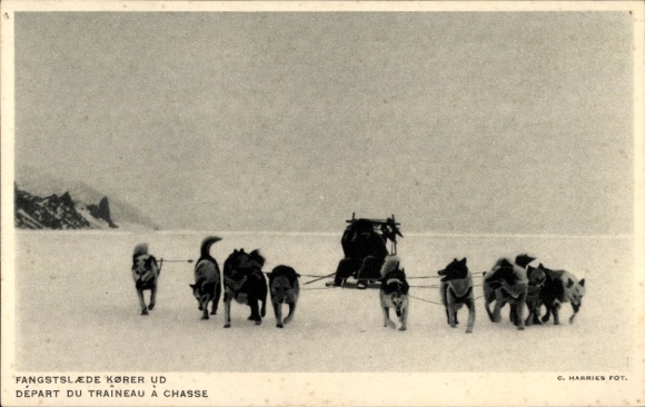 Ak Grönland, Depart du Traineau a Chasse, Hundegespann