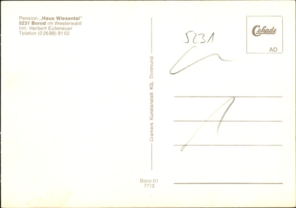 Postcard Borod in the Westerwald, Haus Wiesental Pension