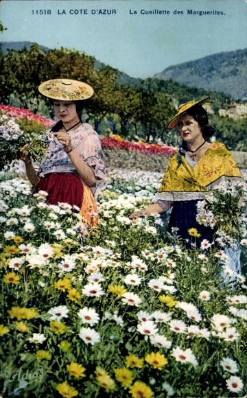 Ak Die Côte d’Azur, Gänseblümchen pflücken