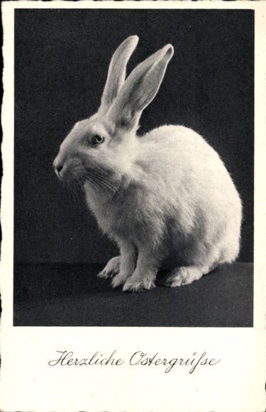 Ak herzliche Ostergrüße, Weißer Hase