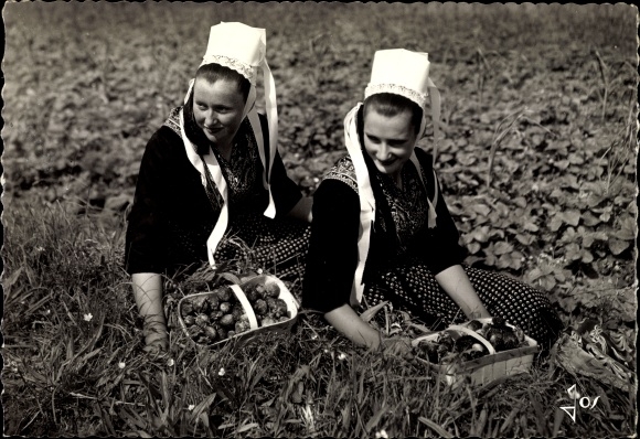 Postcard Plougastel Daoulas Finistère, Young Girls in Plougastel Costume in a Strawberry Field