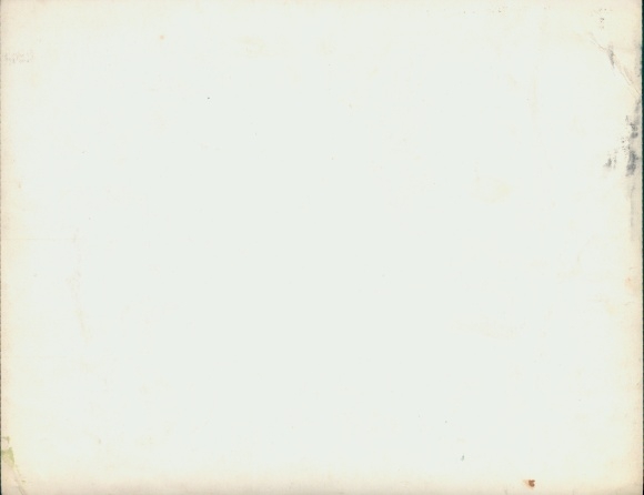 Photo Film In the Valley of the Beavers, Owl, Walt Disney, Film Scene