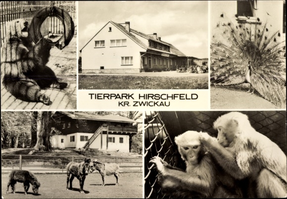 PC Hirschfeld in Saxony, zoo, consumer restaurant Bärenschenke