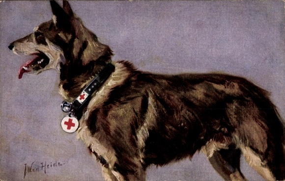 Kunstenaar Ak vd Heide, JW, medische hond, Duitse herder