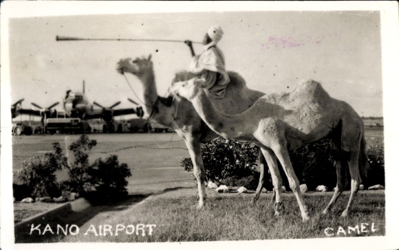 Ak Kano Nigeria, Flughafen, Mann auf Kamel reitend