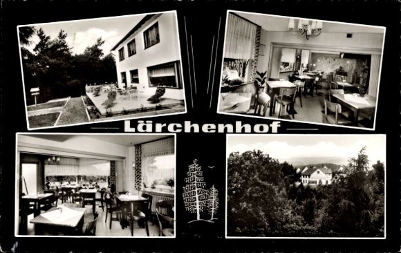 Postcard Rhoden Waldeck Diemelstadt Hesse, Gasthaus Lärchenhof, terrace, guest rooms