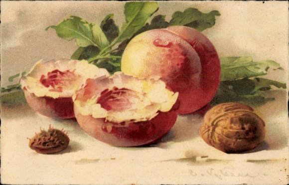Artist Postcard Klein, Catharina, Still Life, Peaches, Walnut