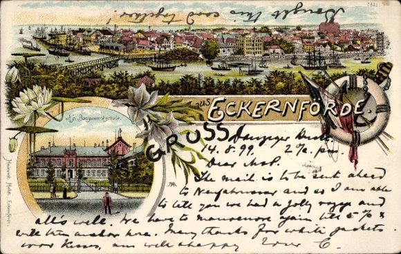 Ak Ostseebad Eckernförde, Stadtansicht, Hafen, Gebäude, Botanische Elemente,  von 1899