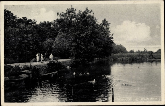 Ak Eggersdorf Brandenburg, aan de rand van het bos