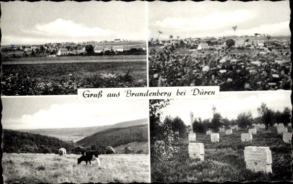 Postcard Brandenberg Hürtgenwald in the Eifel, diverse landscape, herd of cows, burial site, greenery