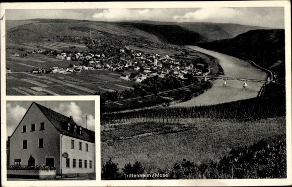 Postcard Trittenheim on the Moselle, general view, wine bar and guesthouse
