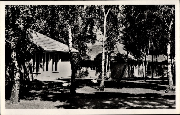 Postcard Wustermark in Brandenburg, Olympic village, residential buildings in the birch forest