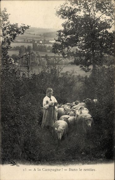 Ak Mädchen in französischer Tracht, Schafe, Schafherde