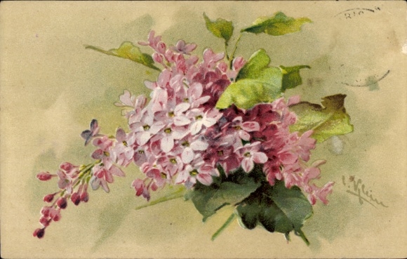 Artist PC Klein, Catharina, blooming lilac