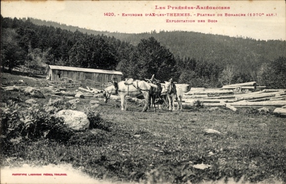 Ak Ax les Thermes Ariege, Plateau de Bonascre, Exploration des Bois