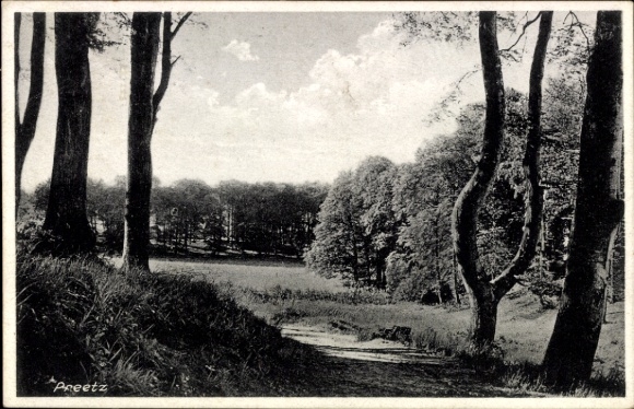 Postcard Preetz near Stralsund, landscape, trees, meadow, sky, black and white photography