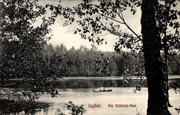 Ak Lychen im Kreis Uckermark, Am Stübnitz See, Wald