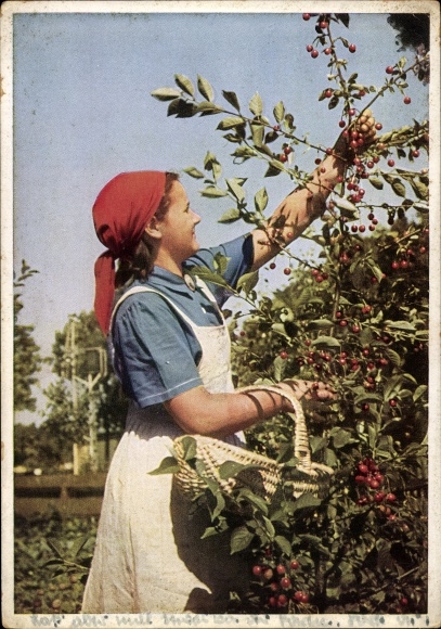 Postcard Hans Retzlaff, Reich Labor Service for female youth, work avoidance at the cherry harvest