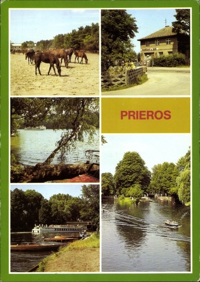 Ak Prieros in der Mark, Teilansichten, Pferde, See, Schiff, Boote