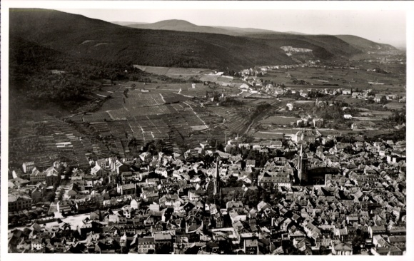 Ak Neustadt an der Weinstraße, Luftaufnahme von Neustadt, Weinberge, Stadtansicht, Berge