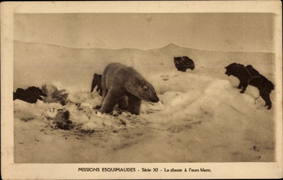 Postcard Missions Esquimaudes, La chasse a l&#39;ours blanc, hunting a polar bear, dog