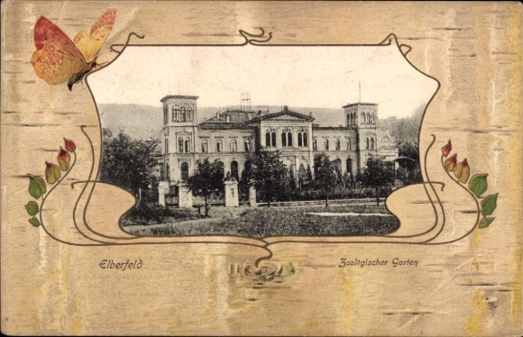 Passepartout Postcard Elberfeld Wuppertal, Zoological Garden, Butterfly
