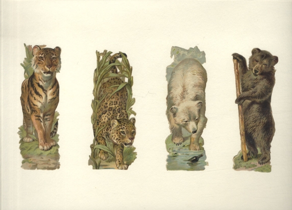 4 wafers tiger, jaguar, polar bear, brown bear, size approx. 12 x 5 cm each