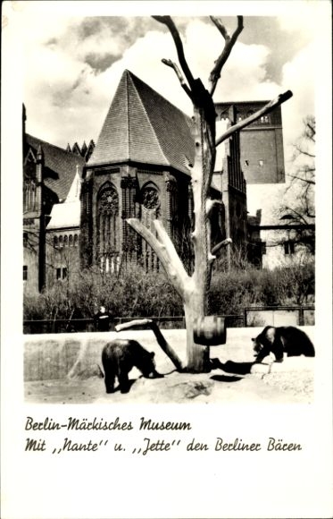 Ak Berlin Mitte, Märkisches Museum, Bären Nante und Jette