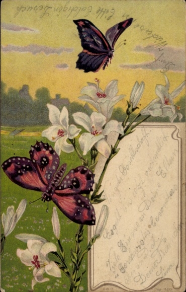Chromo-Litho Butterflies and Lilies