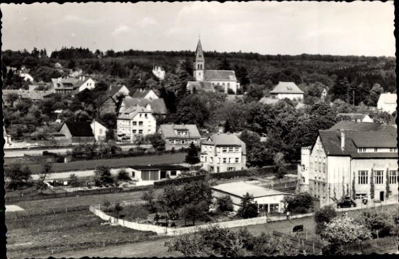 Ak Friedrichsbrunn Thale im Harz, Panorama vom Ort