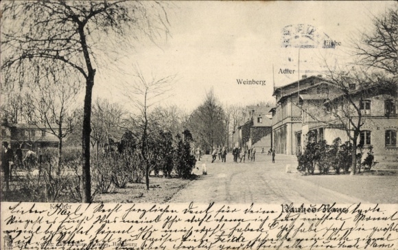Postcard Hamburg Horn, The Rough House, Quiver, Oak, Eagle, Vineyard