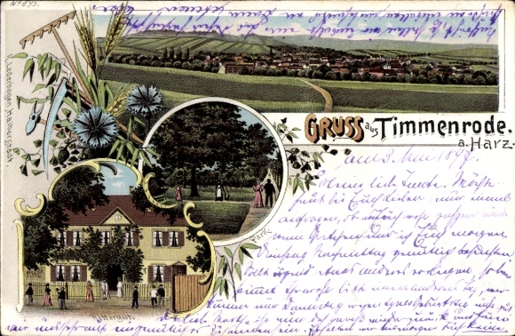Chromo-Litho Timmenrode Blankenburg am Harz, general view, manor, park