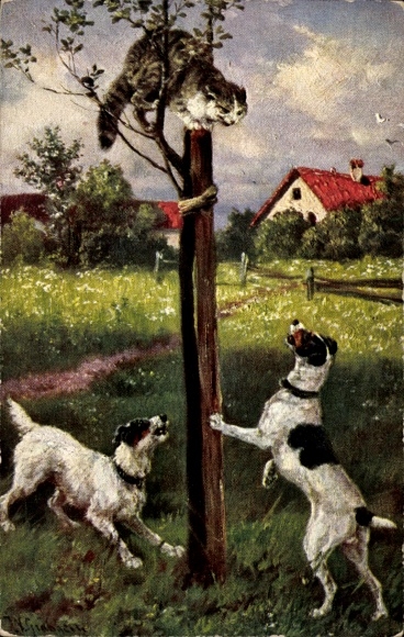Kunstenaar Ak honden, kat op de boom