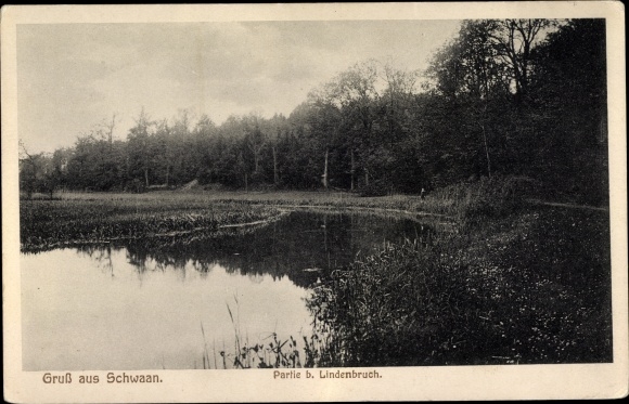Postcard Schwaan in Mecklenburg, party near Lindenbruch