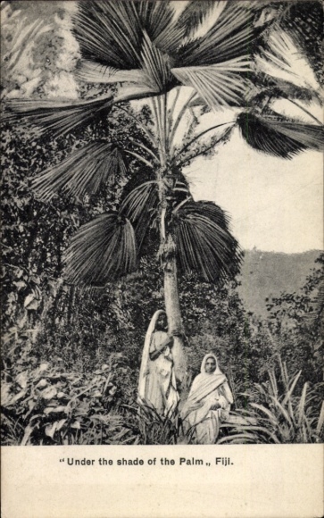 Postcard Fiji Fiji, In the shadow of the palm tree