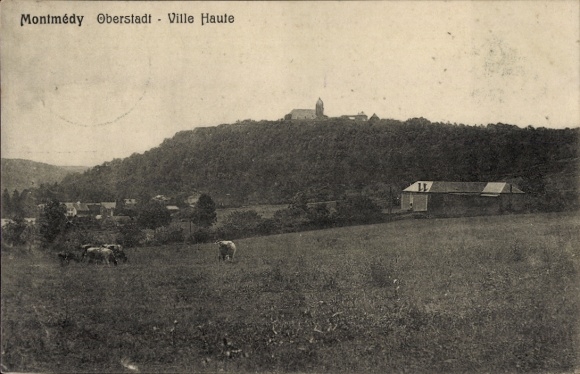 Ak Montmédy Meuse, Oberstadt, Ville Haute, Kühe auf der Weide
