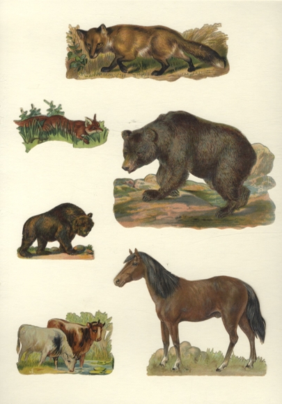 6 wafers foxes, bear, horse, cow, approx. 9 x 12 cm to 3 x 7 cm