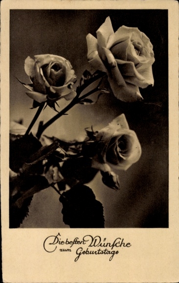 Happy Birthday, Blooming Roses