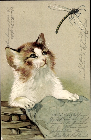 Artist Postcard Kitten observes a dragonfly