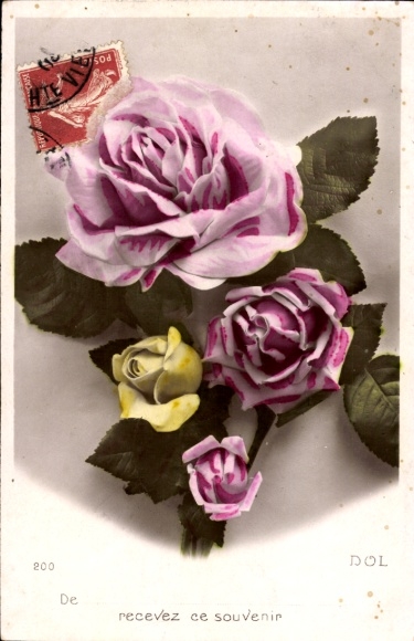 Postcard rose bouquet, colored