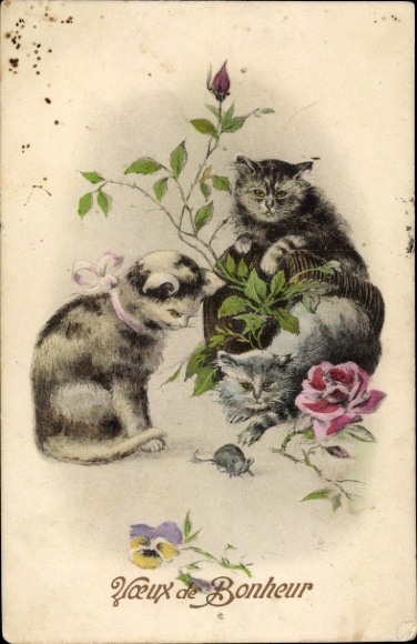 Ak Drei Katzen beobachten eine Maus, Blumen, Rose
