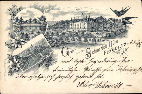 Chromo-Litho Bubendorf Frohburg in Saxony, Schmitten-Höhe, swallows
