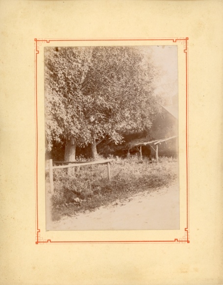 Photo Airan Calvados, Valmeray, Park