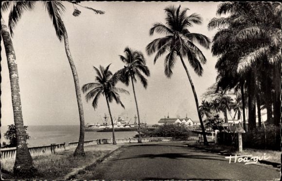 Ak Conakry Guinea, straat met palmbomen, zee, haven, gebouwen, Hoa gọi-letters
