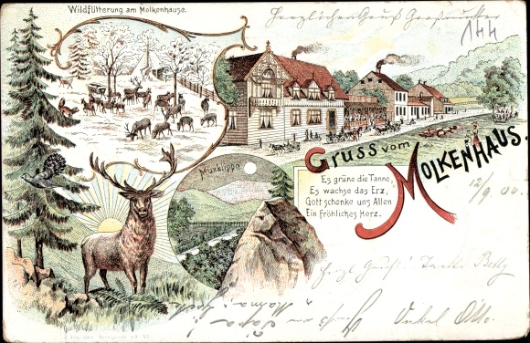 Chromo-Litho Bad Harzburg am Harz, Gasthof Molkenhaus, wild feeding, Muxklippe