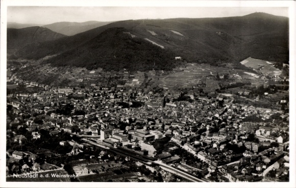 Ak Neustadt an der Weinstraße, Luftaufnahme, Stadtansicht, Umgebung, Berge