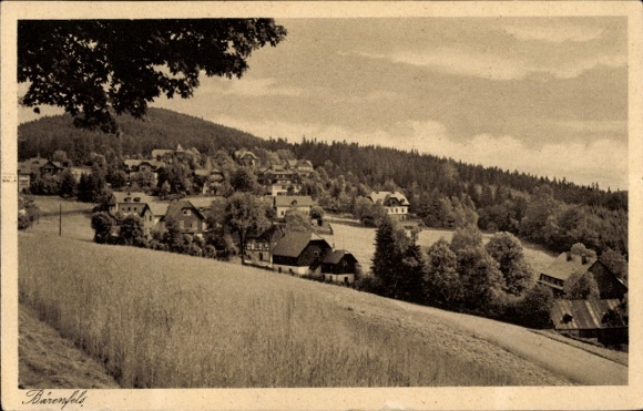 Postcard Bärenfels Altenberg in the Ore Mountains, general view