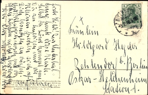 Paper cut PC Diefenbach, Per aspera ad Astra, part 24, lion