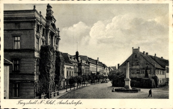 Ak Freystadt in der Oberpfalz Bayern, Amtsstraße, Gebäude, Monument, Bäume, Menschen