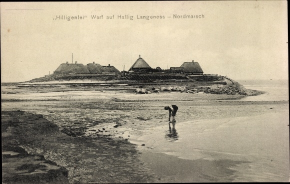 Ak North March Hallig Langeneß North Friesland, Hilligenlei Warf